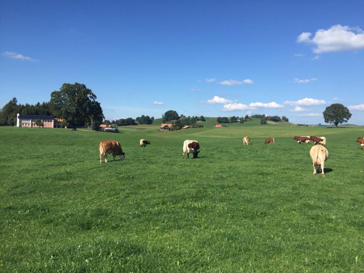 Naturnahe Familienwohnung Ruschegg Buitenkant foto