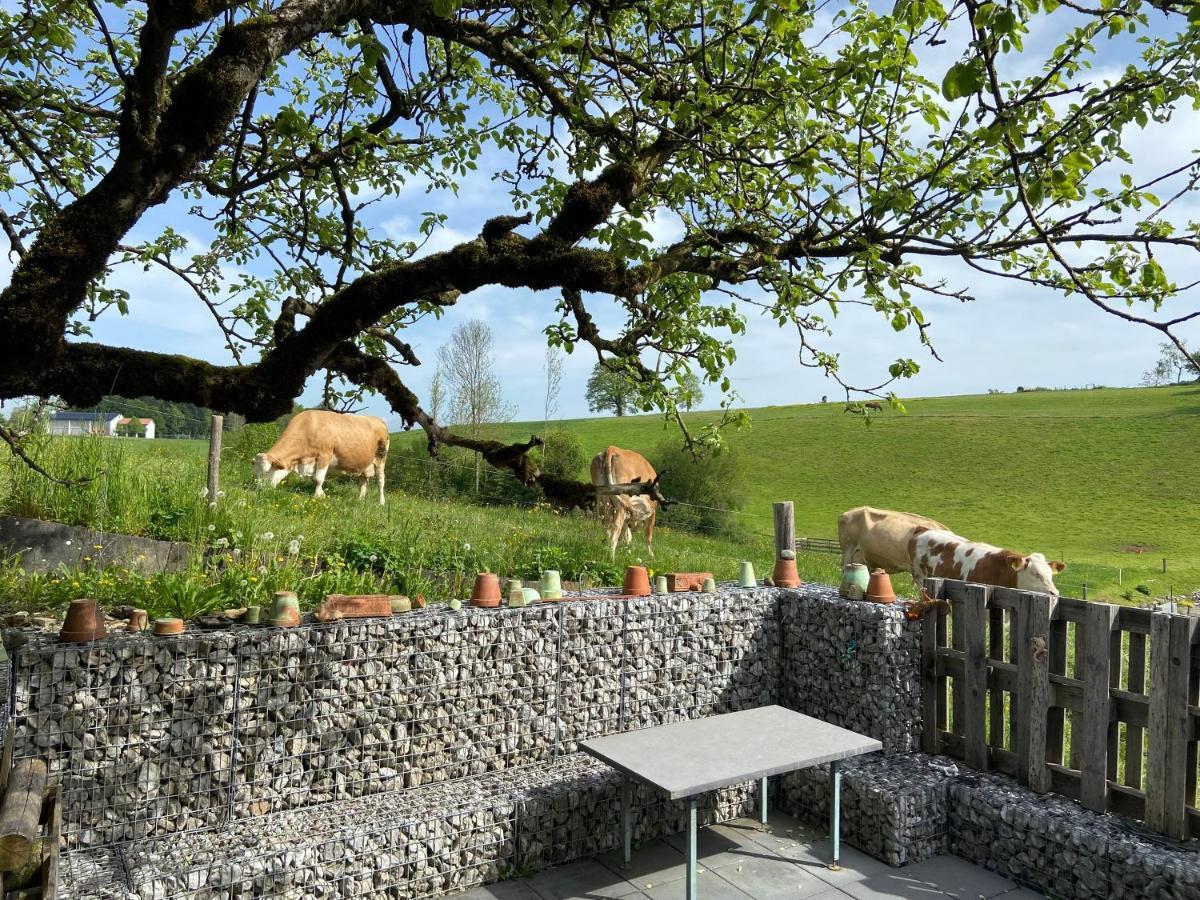 Naturnahe Familienwohnung Ruschegg Buitenkant foto