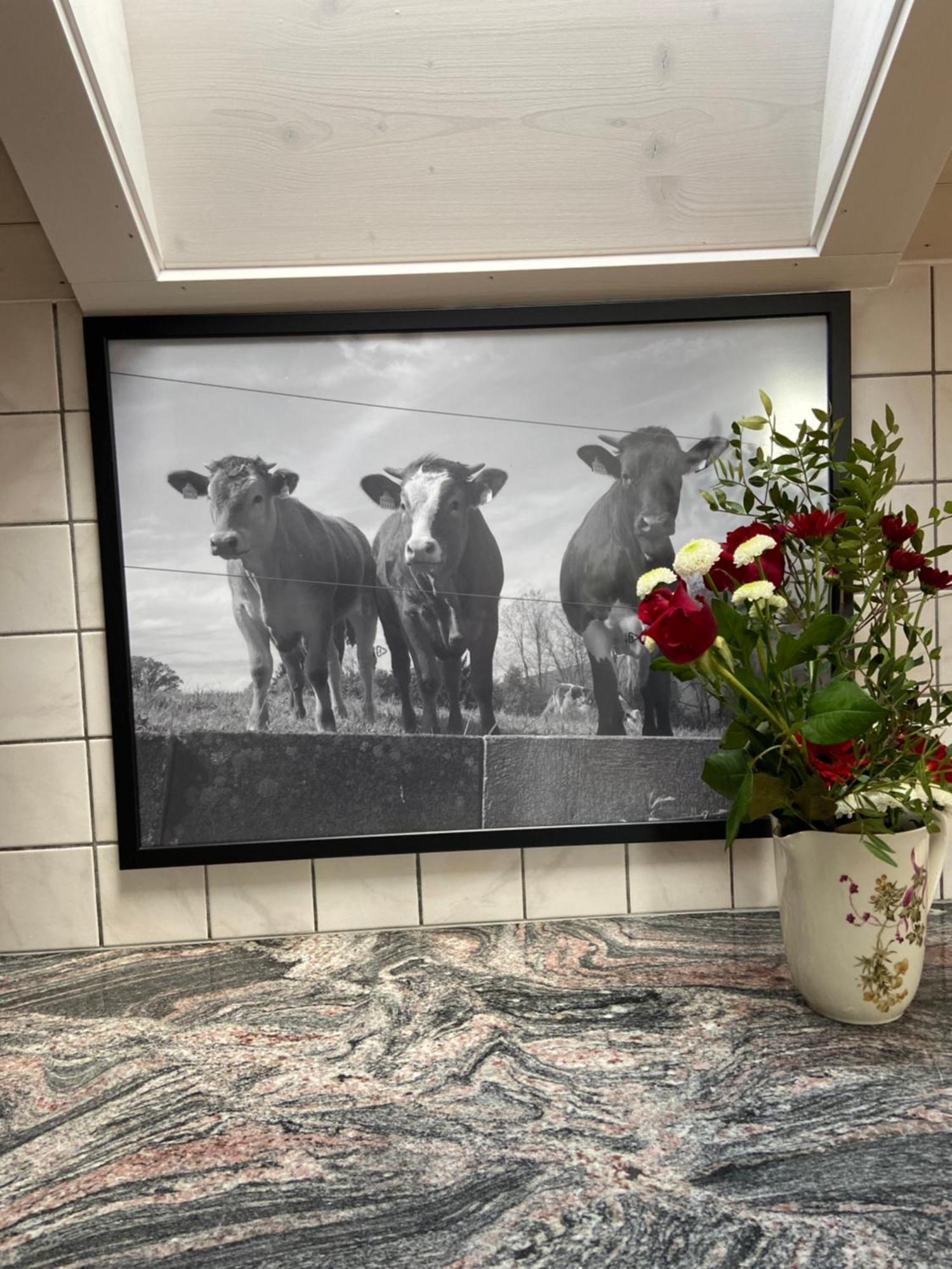 Naturnahe Familienwohnung Ruschegg Buitenkant foto