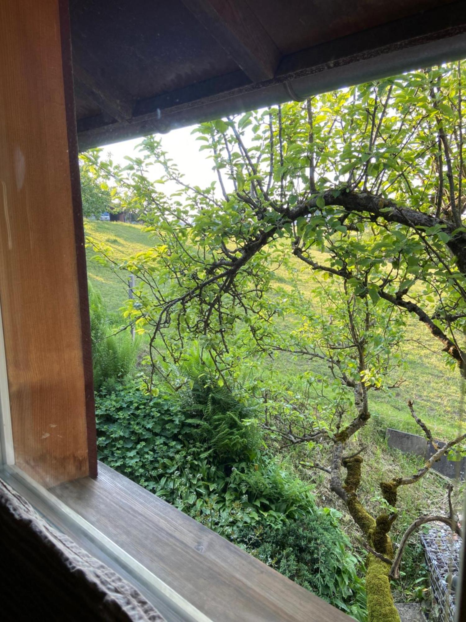Naturnahe Familienwohnung Ruschegg Buitenkant foto