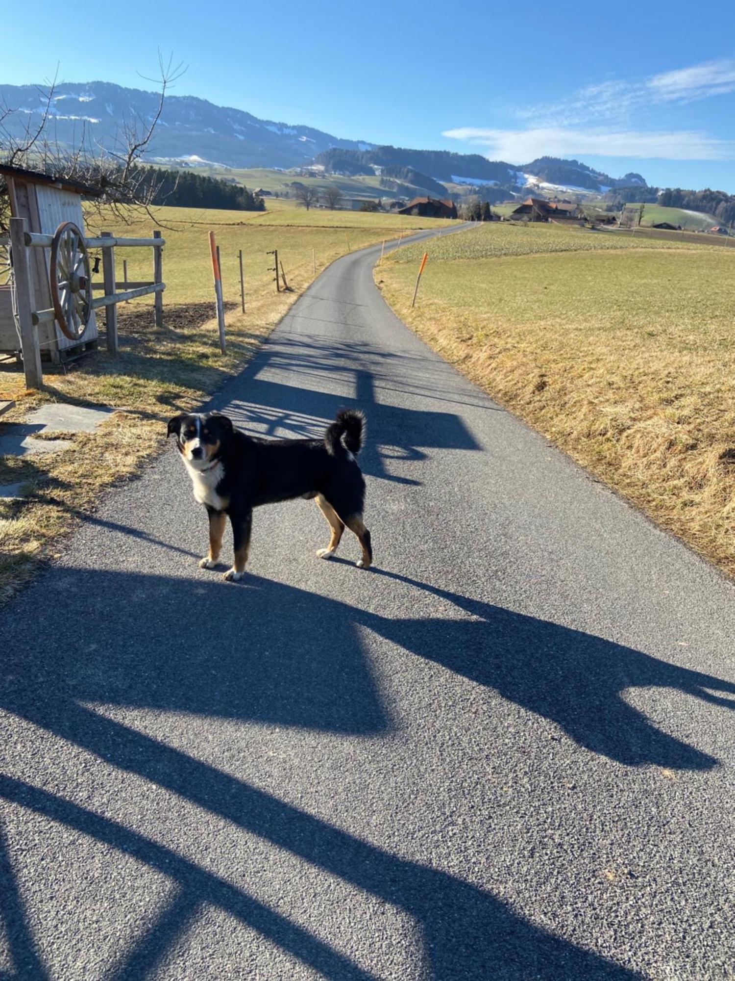 Naturnahe Familienwohnung Ruschegg Buitenkant foto