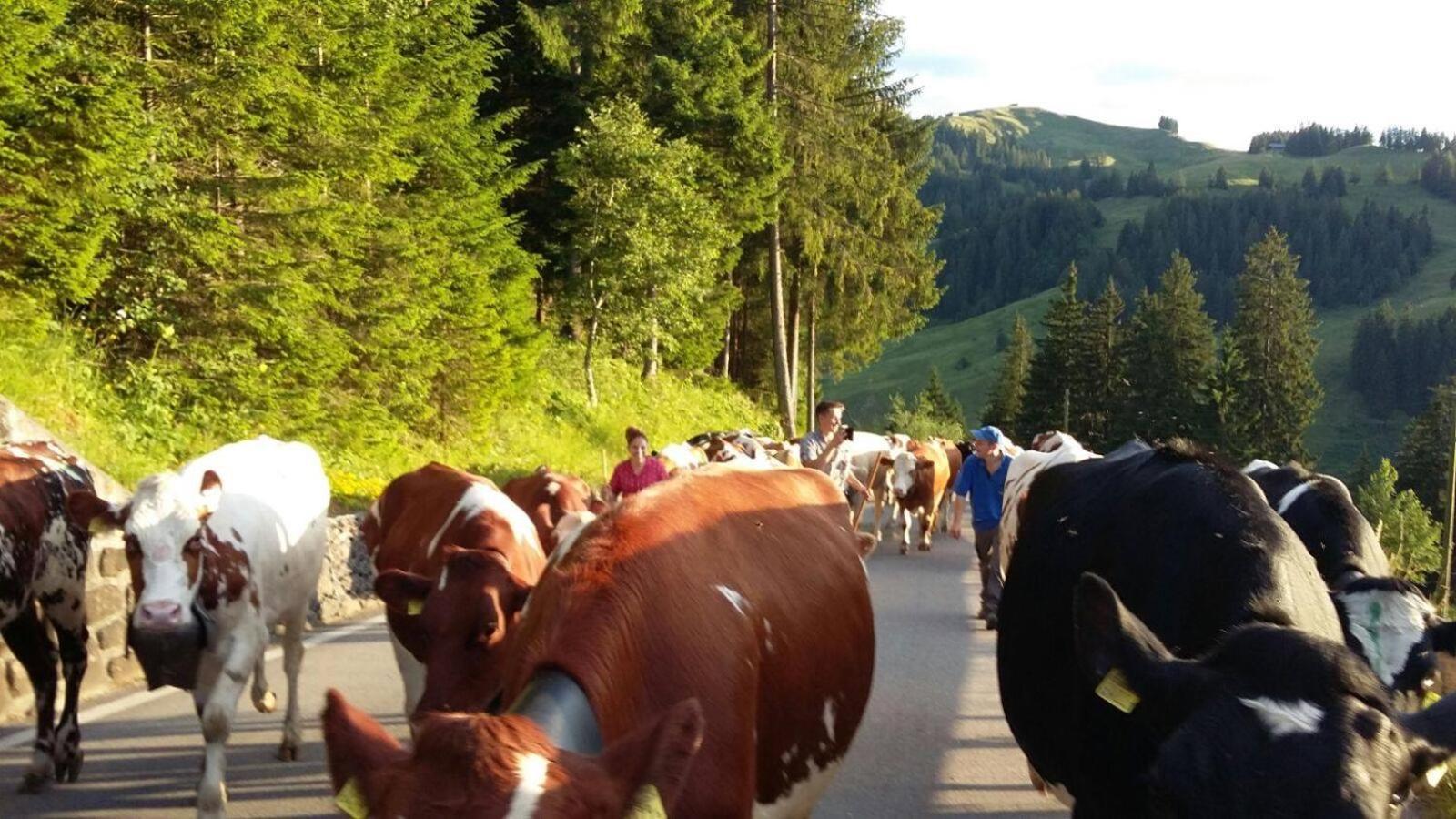 Naturnahe Familienwohnung Ruschegg Buitenkant foto