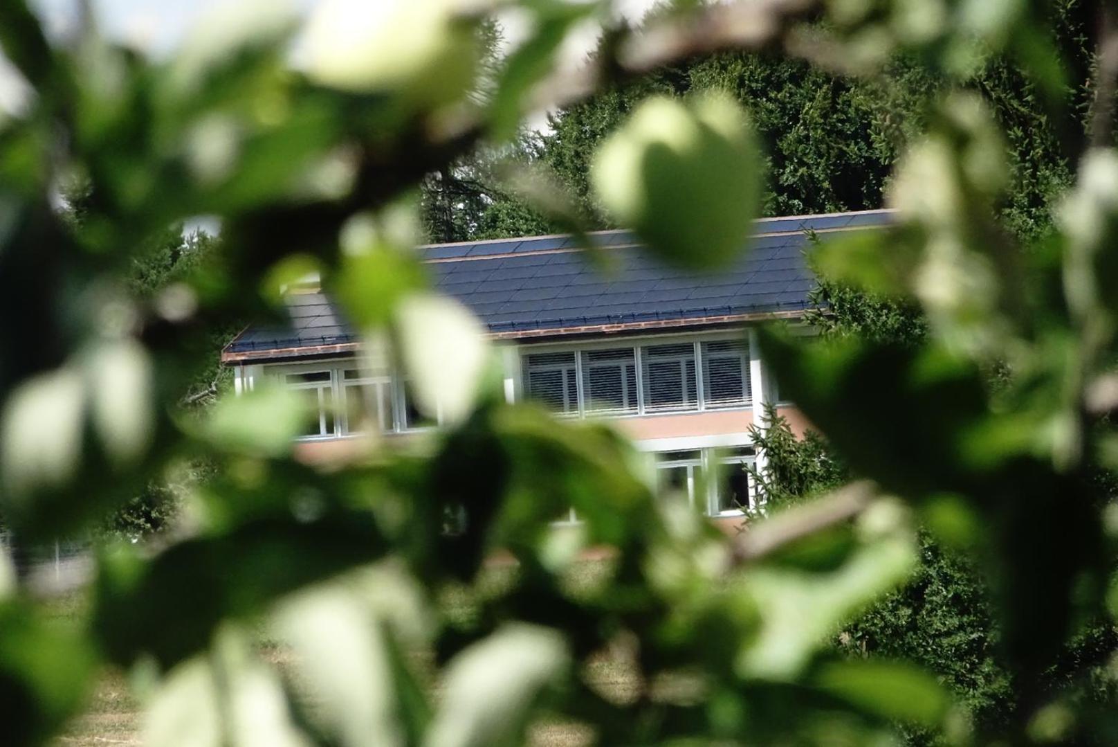Naturnahe Familienwohnung Ruschegg Buitenkant foto
